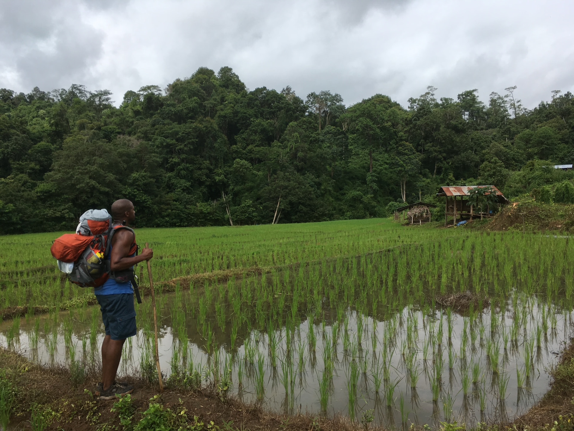 Daniel D. Mann overlooking a rice field while traveling